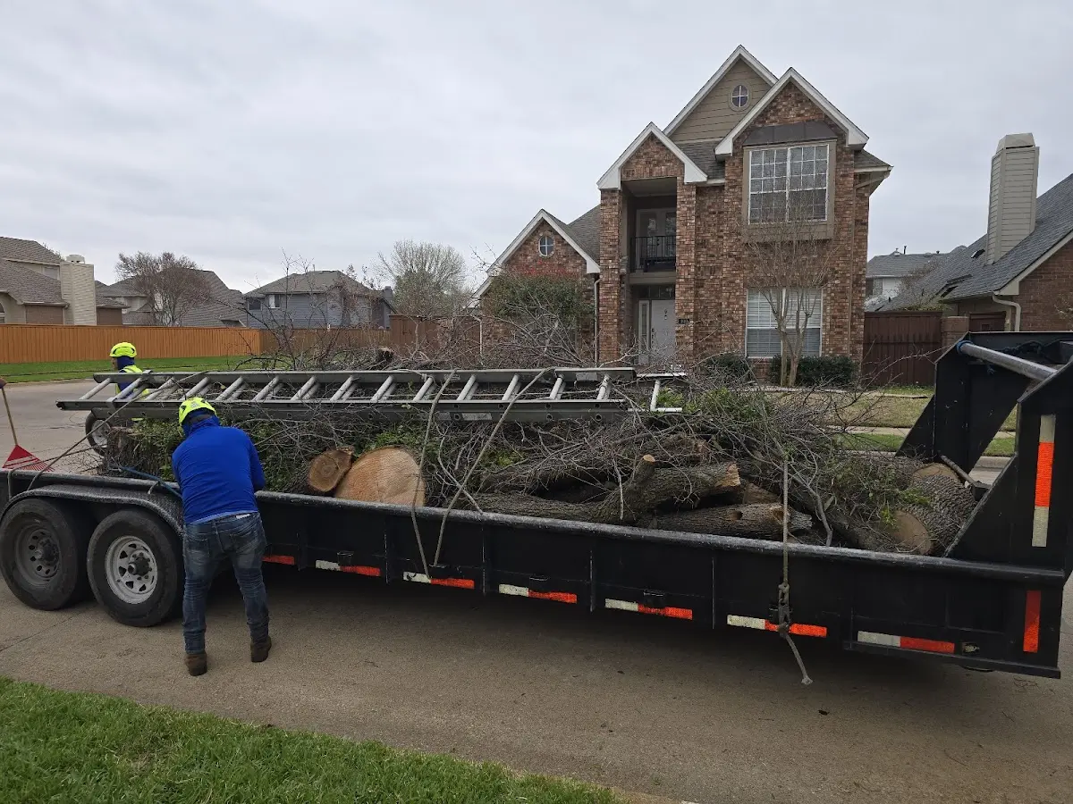 Expert Lot Clearing with proper safety equipment in Belington